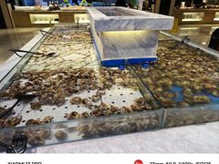 -川骄海鲜自助(河东店)
