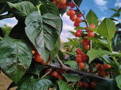 -珠源印象·影院足道·按摩SPA