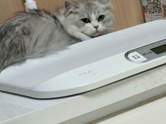 -谐和益家动物医院·免疫绝育·血液透析·宠保定点医院(高新伊藤分院)