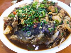 -全乐鱼馆·淳牌有机鱼直营店