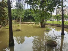 -青龙山国家森林公园