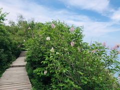 -白草畔自然风景区