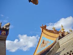 -大召无量寺