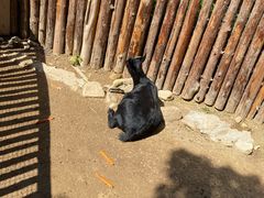 -泉州海丝野生动物世界