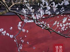-钱王祠