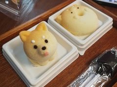 -柴犬高等学院·狗咖·柴犬售卖·宠物训练