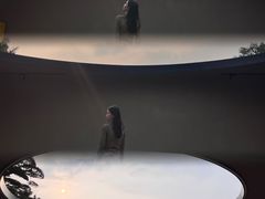 -陈村花卉小镇-花卉世界