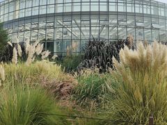 -昆明植物园