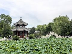 -保定直隶总督署博物馆
