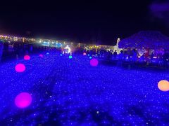 -北京鹿世界主题园