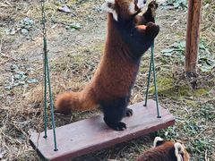 -杭州野生动物世界