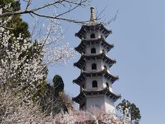 -圣莲山风景区