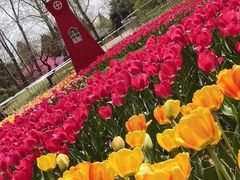 -国家植物园南园