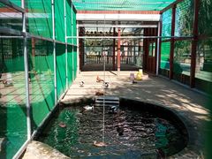 -羊亭河湿地公园