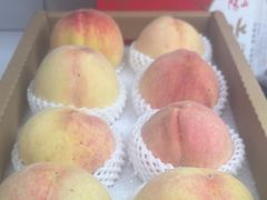 -老袁家蜜桃农场·阳山水蜜桃