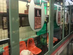 -猫咪博物馆(顶澳仔猫街店)