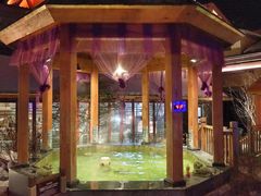 -汉拿山温泉度假酒店