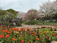 -苏州上方山国家森林公园