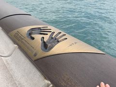 -星光大道