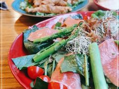-萨尔瓦多Salvador's