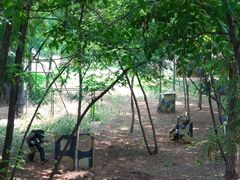 -凤凰山标靶彩弹射击场