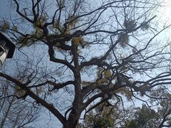 -家烧面馆【南山路知名经典面食】