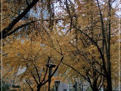 -上海明天广场JW万豪酒店