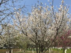 -白塘生态植物园