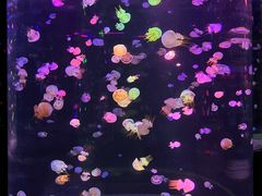 -邯郸海洋世界
