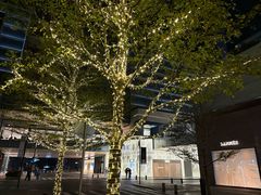 -深圳湾万象城(南山店)