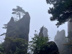 -黄山风景区