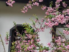 -莫愁湖公园