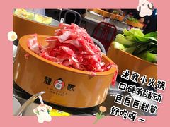 -龍歌自助小火锅(崂山丽达店)