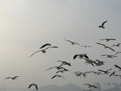 -星海广场