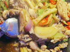 -蛙来哒(诚丰广场店)