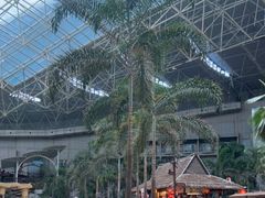 -渔岛海洋度假区