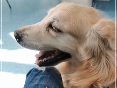 -北京赛佳动物医院