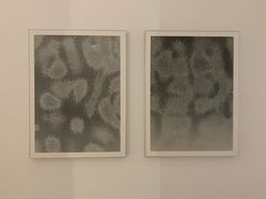 -胶囊画廊