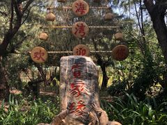 -北海金海湾红树林生态旅游区