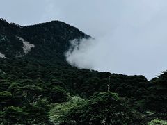 -大理洱海