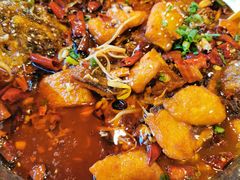 -马艾萨中国兰州牛肉拉面(劲松店)