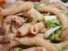 -深仔记正宗云吞面(尖沙咀店)