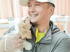 -翊宠yipet猫狗购宠庄园犬舍•猫舍