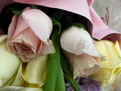 -花里花店(唐镇阳光天地店)