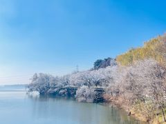 -沈阳鸟岛