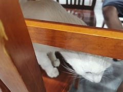 -岳合轩老北京涮肉