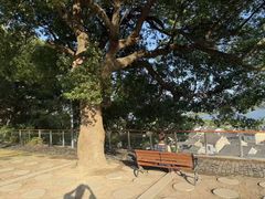 -晓琦农家菜馆·地道农家菜