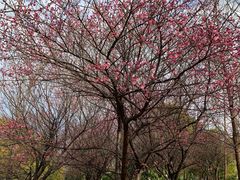 -上海滴水湖皇冠假日酒店