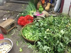 -遇龙河大樟树农家乐