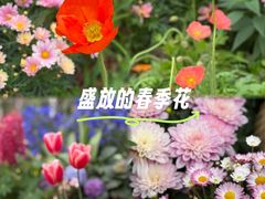 -东莞植物园